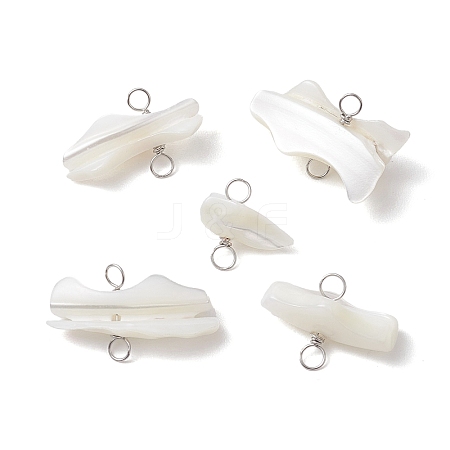 Natural Trochid Shell Connector Charms PALLOY-JF02810-01-1