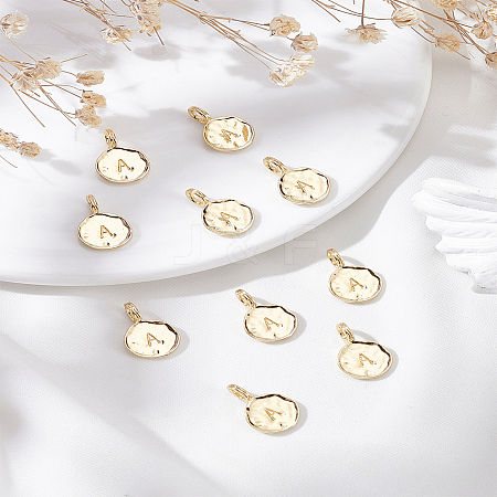 10Pcs Alloy Pendants FIND-LP0003-36A-1