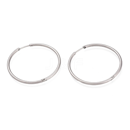 Non-Tarnish 304 Stainless Steel Huggie Hoop Earrings EJEW-L256-02H-P-1