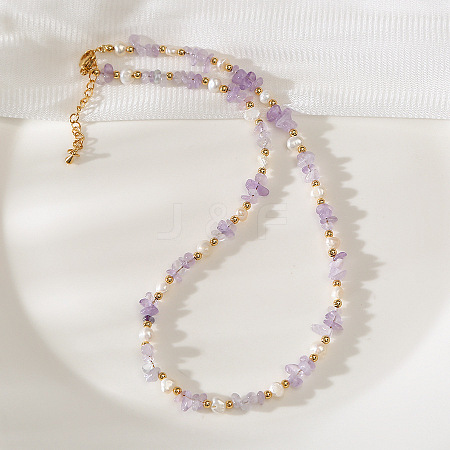 Natural Freshwater Pearl Nuggets and Amethyst Chip Beaded Necklaces for Women FS-WGFF989-01-1