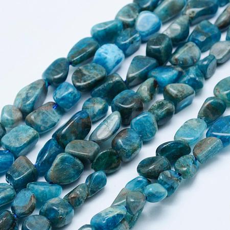 Natural Apatite Beads Strands G-K203-13-1