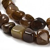 Natural Petrified Wood Beads Strands G-P497-01E-72-4