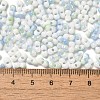 Baking Paint Glass Seed Beads SEED-F005-01A-13-4