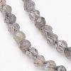 Natural Labradorite Bead Strands G-P213-38-3mm-1