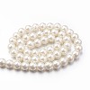 Eco-Friendly Dyed Glass Pearl Round Bead Strands X-HY-A008-8mm-RB011-3
