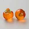 Acrylic 3D Fruit Pendants MACR-CJC0004-23B-2