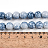 Baking Paint Glass Beads Strands DGLA-N003-10mm-C07-5