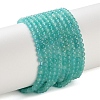 Natural Amazonite Beads Strands X-G-Z150-B01-3mm-2