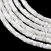 Natural Freshwater Shell Beads Strands X-SHEL-K006-72C-3