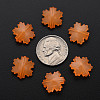 Imitation Jelly Acrylic Beads LS-MACR-S373-92-E05-4