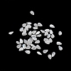 Faceted Natural White Moonstone Cabochons G-I295-05C-19-1