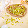 Picasso Baking Paint Glass Seed Beads SEED-TA0001-62D-4
