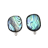 304 Stainless Steel Pave Natural Paua Shell Stud Earring Findings STAS-Z125-07P-1