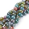 Natural Indian Agate Beads Strands GSR10mmC002-1