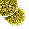 6/0 Glass Seed Beads X2-SEED-A005-4mm-30-1