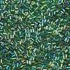 Two Cut Glass Seed Beads CSDB167B-2