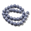 Synthetic Blue Lace Agate Beads Strands G-B071-F02-04-2