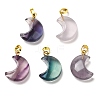 Natural Fluorite Pendants G-C155-03G-1