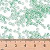8/0 Glass Seed Beads SEED-A015-3mm-2218-4