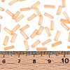 Glass Bugle Beads SEED-N007-28L-4