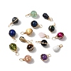 16Pcs 16 Styles Mixed Gemstone Pendants FIND-FH0006-91-1