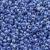 Glass Seed Beads SEED-A011-3mm-146-2