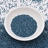 MIYUKI Delica Beads SEED-J020-DB2384-2