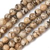 Natural Feldspar Beads Strands X-G-S259-26-6mm-5