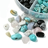 60G 6 Styles Natural & Synthetic  Gemstone Beads Chips G-FS0005-80-3
