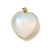 Natural & Synthetic Mixed Gemstone Pendants G-B149-10G-2