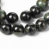 Natural Kambaba Jasper Beads Strands G-M172-8mm-01-1