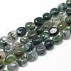 Natural Moss Agate Beads Strands G-R445-8x10-01-1