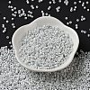 Baking Paint Glass Seed Beads SEED-S042-15A-01-3