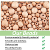   300Pcs 6 Styles Beech Wood European Large Hole Beads WOOD-PH0002-80-4
