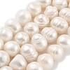 Natural Cultured Freshwater Pearl Beads Strands PEAR-C003-20B-1
