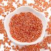 Glass Seed Beads SEED-A033-01A-01-4