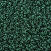 MIYUKI Round Rocailles Beads SEED-G007-RR0147F-3