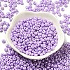 Baking Paint Luster Glass Seed Beads SEED-B001-04A-09-2