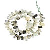 Natural Prehnite Beads Strands G-Z091-A44-2