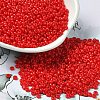 Baking Paint Glass Seed Beads SEED-P006-03A-10-1