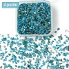 60G(672pcs) Natural Apatite Chip Beads G-YW0001-83-2