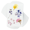 Dried Embossed Paper DIY-WH0622-646D-1