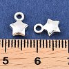 Alloy Pendants LS-FIND-H063-01A-S-3