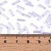 Glass Bugle Beads X-SEED-N007-28D-4