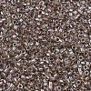 MIYUKI Delica Beads SEED-J020-DB2395-3