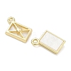 Alloy Acrylic Pendants FIND-D044-23G-01-2