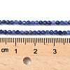 Natural Sodalite Beads Strands G-D306-A01-2mm-B-5