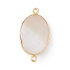 Natural Shell Connector Charms SSHEL-G028-01C-G-3