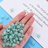 Imitation Jelly Acrylic Beads MACR-S373-95-EA02-6