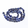 Natural Sodalite Beads Strands G-K230-04B-2